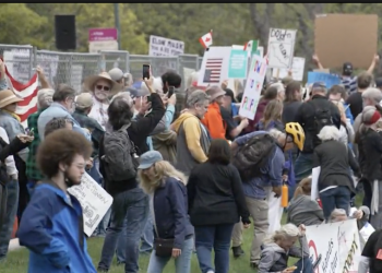 텍사스 주 의사당에서도 울린 ‘손 떼라’ 시위 …  “트럼프 대통령과 일론 머스크에 반대”
